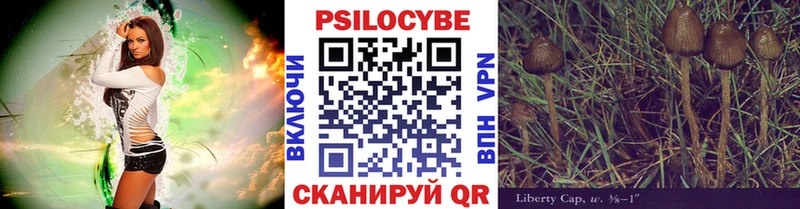 Галлюциногенные грибы Magic Shrooms Полесск